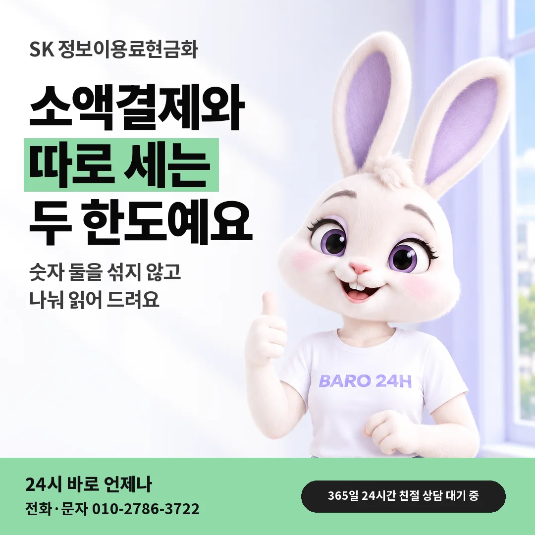 BARO 24H 티셔츠를 입은 3D 토끼 캐릭터 옆에 「SK 소액결제와 따로인 한도」 제목을 얹은 안내 카드